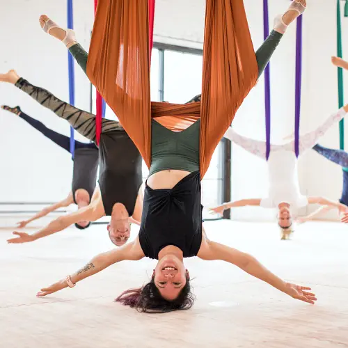 Flip For Aerial Yoga | PDF | Anatomical Terms Of Motion | Foot